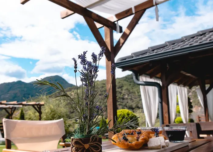 мартинели Villa Hristo Danovo